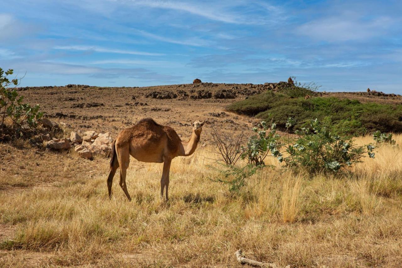 Alila Hinu Bay Salalah Mirbat Exterior foto
